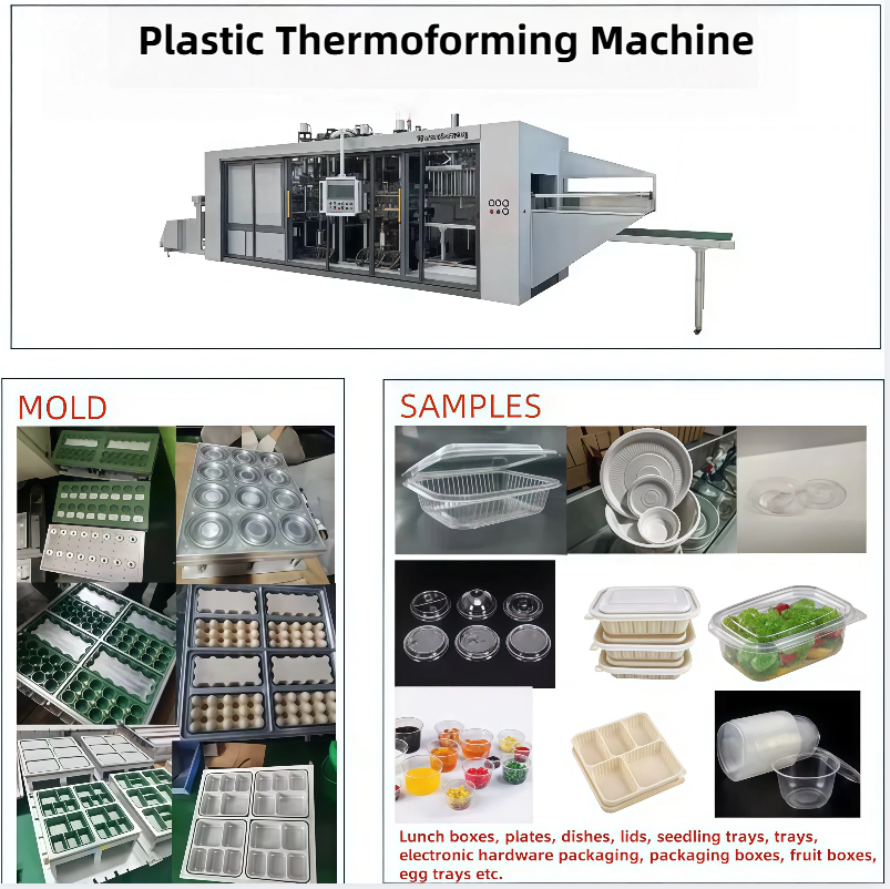 Plastic Thermoformed Products - Output of 3 Station Thermoforming Machine for Food & Industrial Packaging