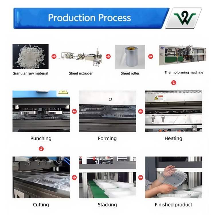 3 Station Thermoforming Machine Production Process Flowchart - Plastic Equipment Manufacturing Steps
