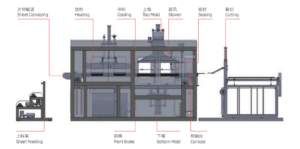 Plastic Vacuum Forming Machine Structure Diagram - Technical Layout of Food Container Manufacturing Equipment
