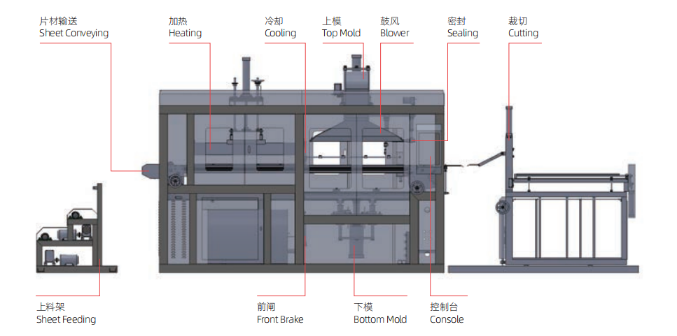 Plastic Vacuum Forming Machine Structure Diagram - Technical Layout of Food Container Manufacturing Equipment