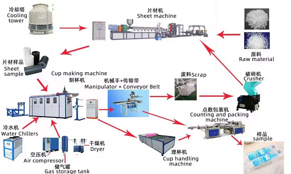 Complete Plastic Cup Making Machine Production Line - Full Set of Equipment for Automatic Cup Manufacturing
