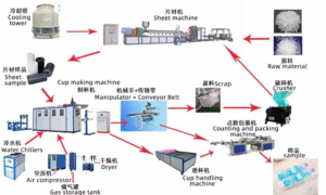 Disposable Plastic Cup Making Machine Production Flowchart - Full Process from Raw Material to Finished Cups