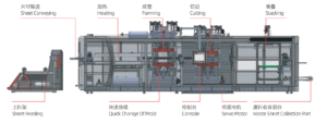 Plastic Vacuum Forming Machine Structural Diagram for Egg Tray & Lunch Box Making