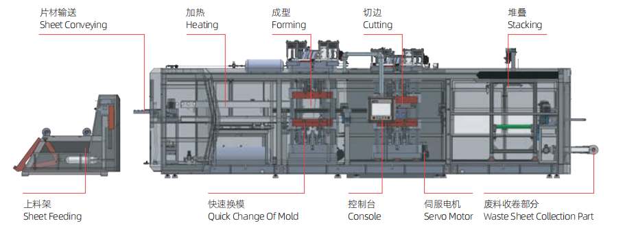 Plastic Vacuum Forming Machine Structural Diagram for Egg Tray & Lunch Box Making