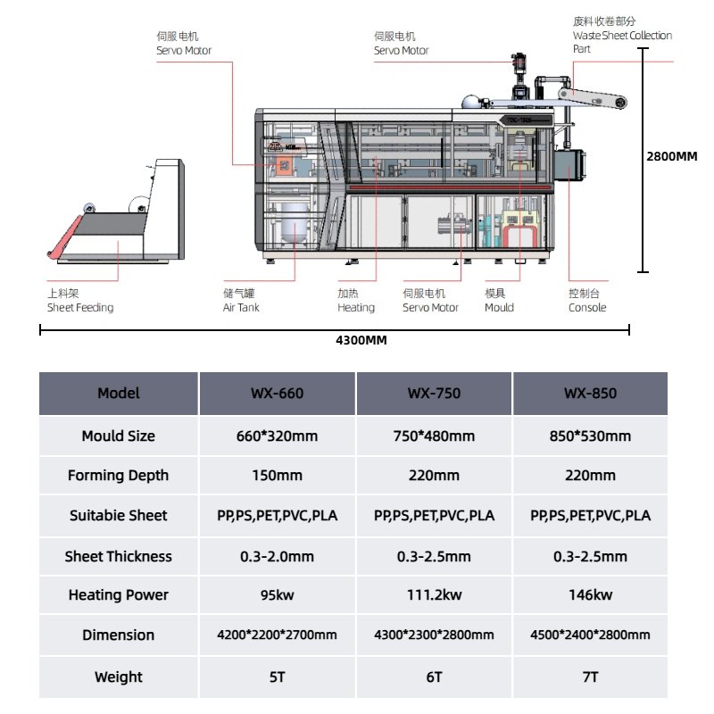 Automatic Plastic Cup Making Machine, Disposable Cup Thermoforming Equipment