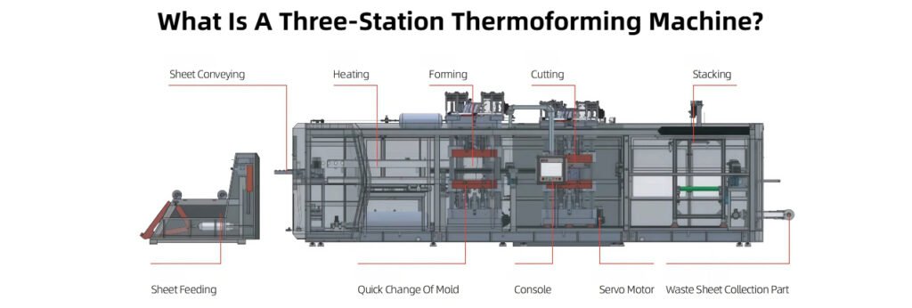 What is a three-station thermoforming machine? A comprehensive introduction to cup making and vacuum forming equipment