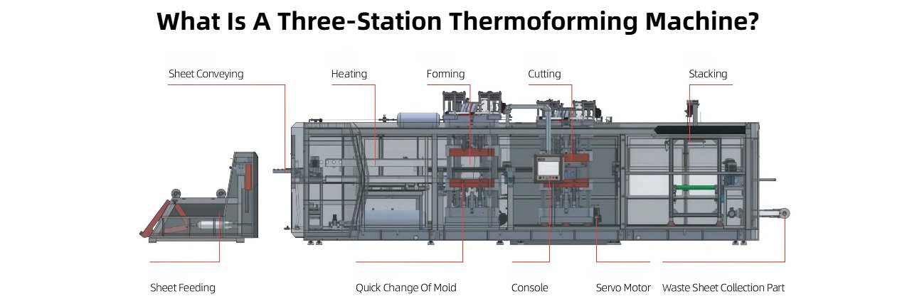What is a three-station thermoforming machine? A comprehensive introduction to cup making and vacuum forming equipment