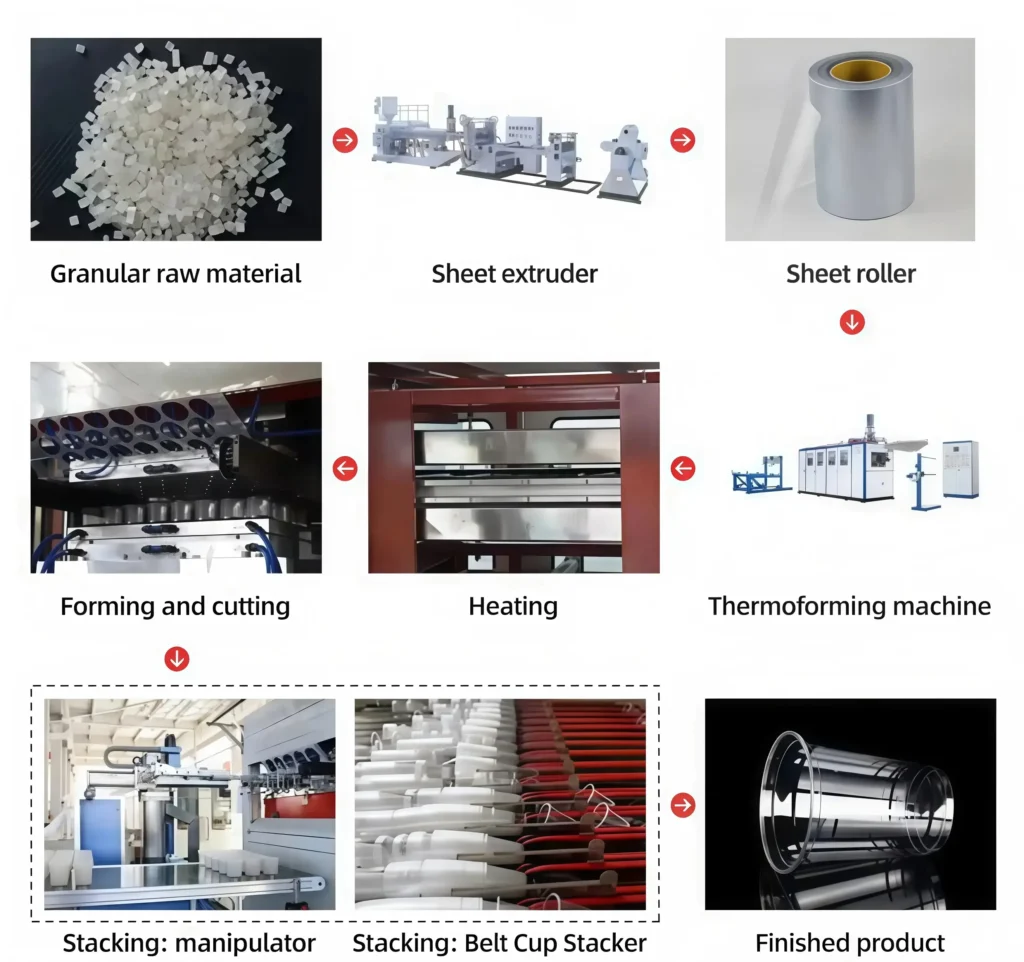 Plastic cup making machine production process from raw material and sheet extrusion to thermoforming, cup stacking and finished plastic cups