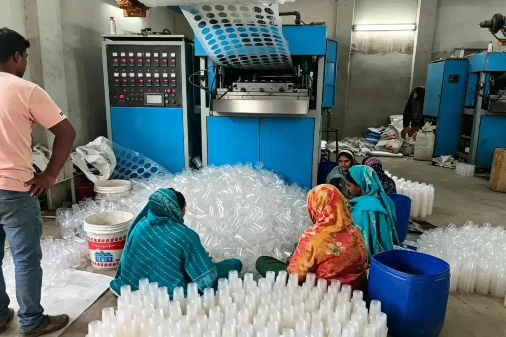 Disposable plastic cup manufacturing plant in Bangladesh equipped with PP sheet extrusion machine and cup making machine